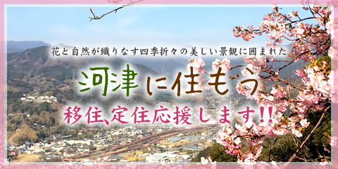 河津に住もう　移住定住応援します!!