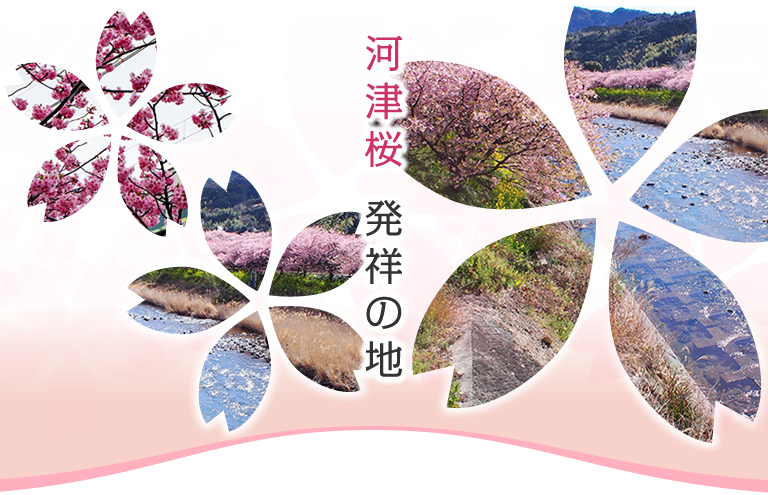 河津桜　発祥の地