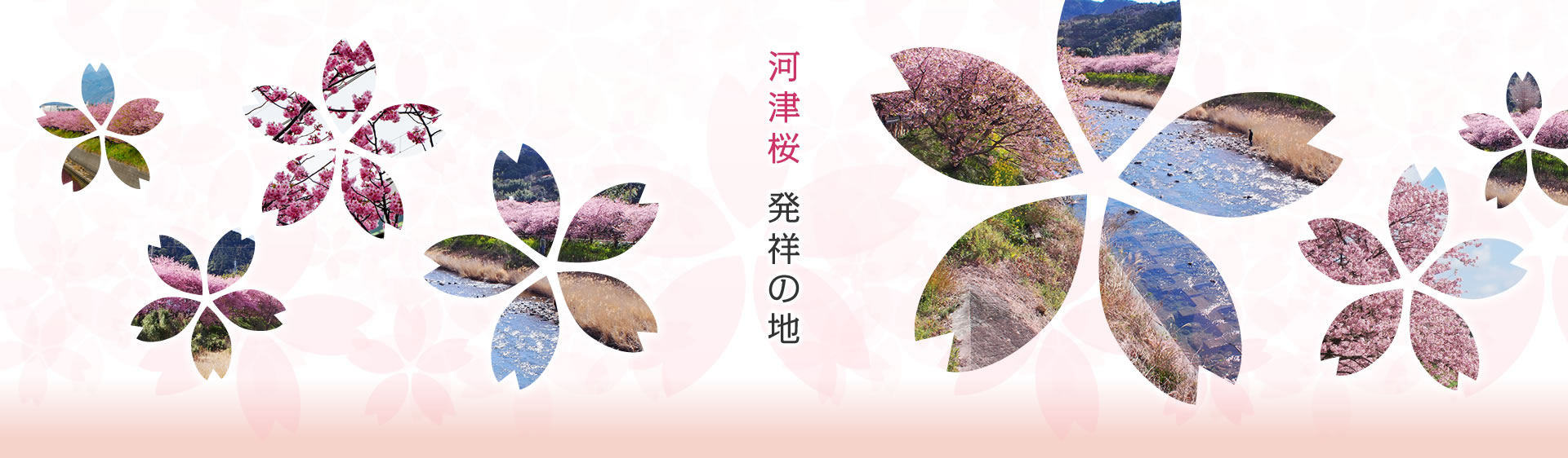 河津桜　発祥の地