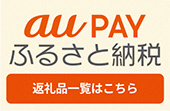 au PAY ふるさと納税